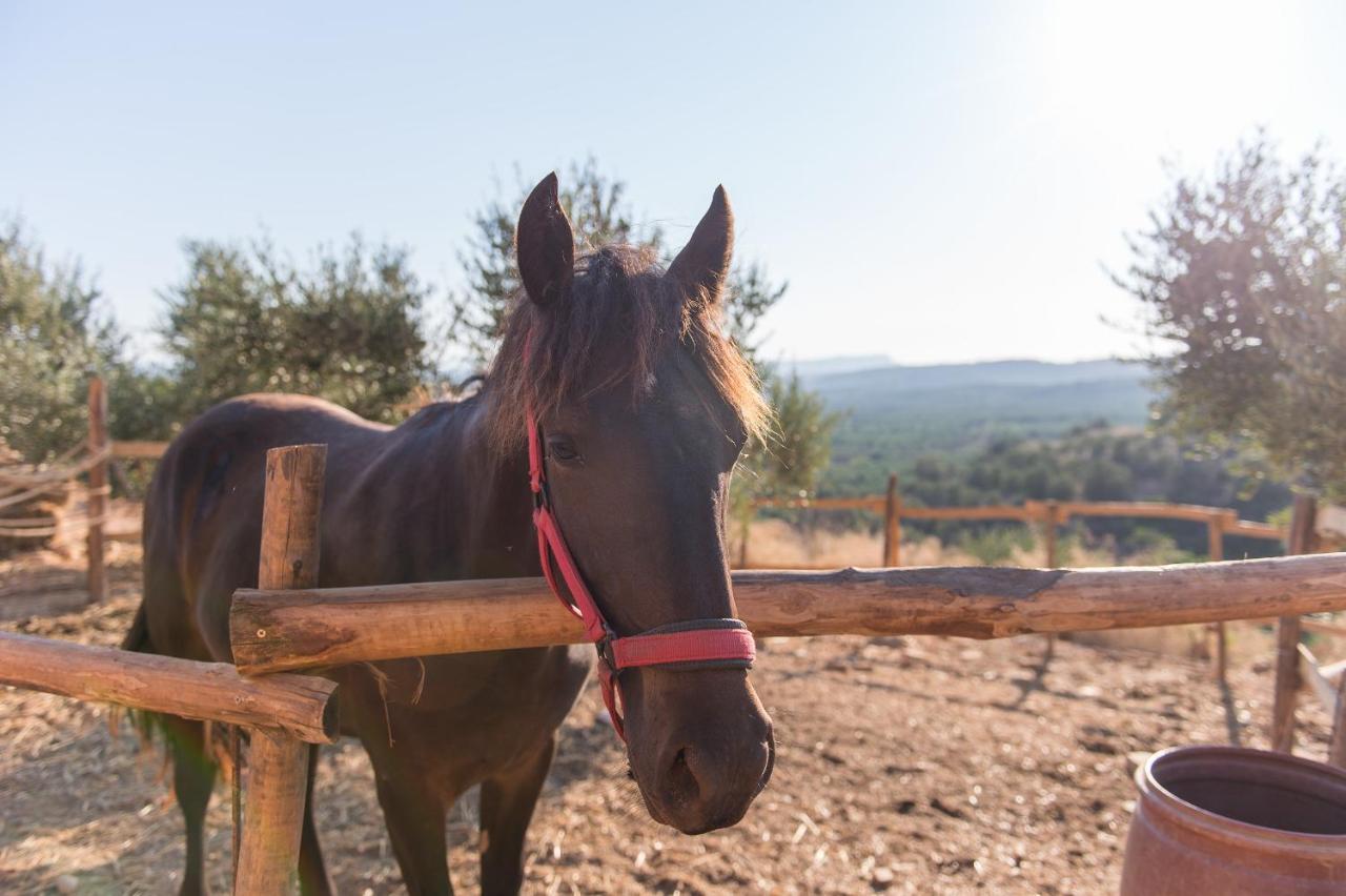 Lameriana Luxury Village Achlades Bagian luar foto